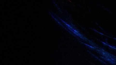 Qué fue lo más buscado por los estadounidenses durante 2021, según mapa de Google Trends