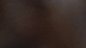 Novak Djokovic, tenista serbio, uno de los mejores del mundo.