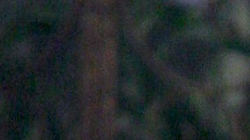 Eugenio Derbez y su hija Aislinn Derbez.