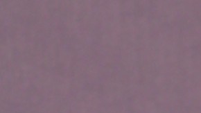 Chiquis Rivera | Mezcalent.