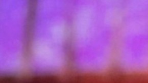 VIDEO: Así fue el día que Consuelo Duval debutó en televisión