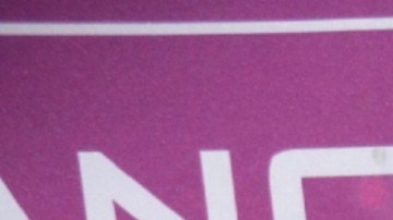 Regina Blandón | Mezcalent.