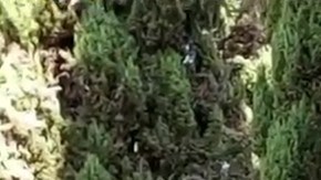 Así es la mansión a la que se dirigía Alfredo Adame antes de pelearse con mujer en la calle