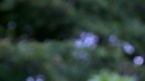 Así es por dentro la mansión de $2.5 millones que Sebastián Yatra compró en Miami Shores