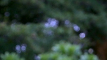 Así es por dentro la mansión de $2.5 millones que Sebastián Yatra compró en Miami Shores