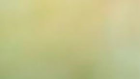 Príncipe Andrés: el duque de York ya no será llamado Su Alteza Real tras perder títulos militares y patrocinio real