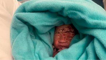 Encuentran un bebé recién nacido abandonado en el cubo de basura del baño de un avión