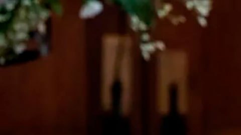 Qué es la aquamación, la alternativa que se promociona como "más ecológica" que la cremación