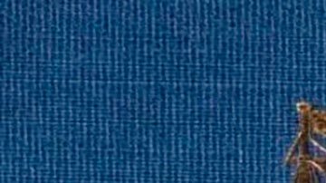 Las increíbles odiseas de los españoles que cruzaron el Pacífico tras la pista de los Reyes Magos