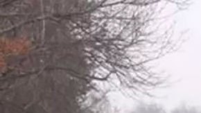 Protestas en Kazajistán: el corresponsal de la BBC describe escenas apocalípticas en la principal ciudad del país