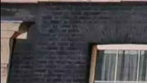 "Partygate": 4 preguntas para entender el escándalo por las fiestas del gobierno de Boris Johnson durante el confinamiento en Reino Unido