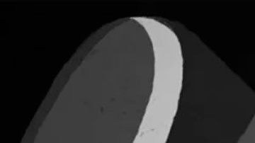 Los audios secretos que muestran las frenéticas últimas horas en el poder del autócrata de Túnez