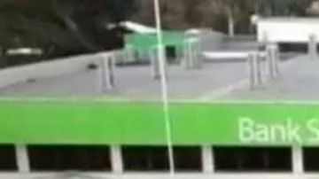 Tonga: la desesperada búsqueda de dos mexicanos atrapados en la isla tras la erupción y posterior tsunami