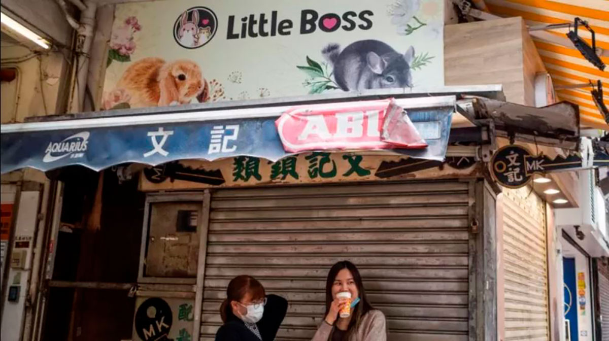 El reciente brote de covid-19 en Hong Kong ha sido relacionado con un empleado de una tienda de la mascotas llamada Little Boss en la zona comercial Causeway Bay.