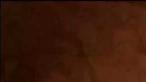 Hana Horká, la cantante antivacunas checa que murió tras contraer covid a propósito