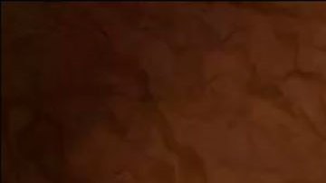 Hana Horká, la cantante antivacunas checa que murió tras contraer covid a propósito