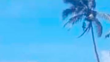 Tonga: las nuevas imágenes que muestran la destrucción que dejó la erupción y posterior tsunami en la isla