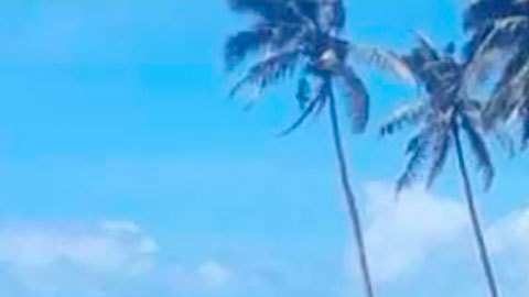 Tonga: las nuevas imágenes que muestran la destrucción que dejó la erupción y posterior tsunami en la isla