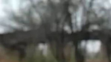 Covid: "Preferí perder mi trabajo antes que vacunarme"