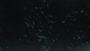 Djokovic llegó a los tribunales para conocer la decisión final si será deportado.