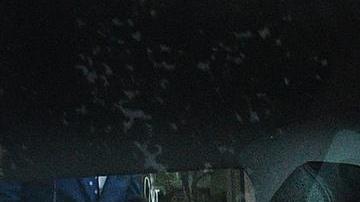 Djokovic llegó a los tribunales para conocer la decisión final si será deportado.