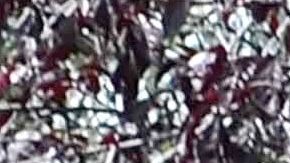 Ana Victoria y Diego Verdaguer | Mezcalent.