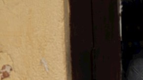 OMS: variante Ómicron gana terreno y ya concentra casi el 72% de los casos globales