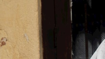 OMS: variante Ómicron gana terreno y ya concentra casi el 72% de los casos globales