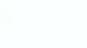 Chabelo | Mezcalent.