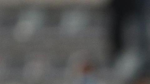 Las Chivas de Guadalajara perdieron 2-1 tras sus errores.