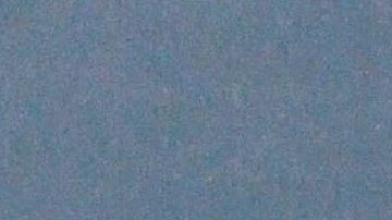 Diego Verdaguer | Mezcalent.