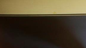 La familia del tenista Novak Djokovic ofreció una rueda de prensa este lunes.