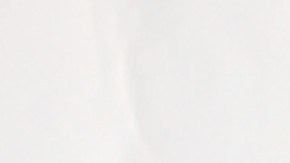 Frida Sofía | Mezcalent.