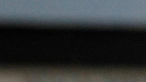 Los jugadores del Atlas celebran el autogol de San Luis.