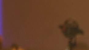 Juan Gabriel | Mezcalent.