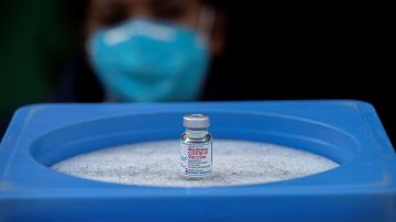 Moderna trabaja en el desarrollo de vacuna conjunta contra gripe y COVID en 2023