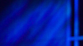 Steve Wozniak, cofundador de Apple, busca emprendedores para convertirlos en millonarios en Unicorn Hunters