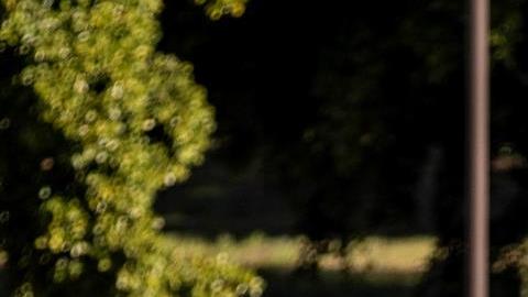 Los Angeles (United States), 03/01/2022.- Hundreds of people wait in line to get tested for Covid-19 at the Lincoln Park testing site in Los Angeles, California, USA, 03 January 2022. According to latest reports Los Angeles County is facing its highest rate of coronavirus transmission since the early stages of the pandemic. Over the last week, more than one in five of those tested were positive, and 45000 new cases were detected over the weekend. (Estados Unidos) EFE/EPA/ETIENNE LAURENT