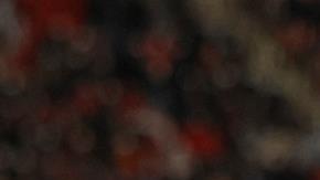 Luuk de Jong anotó el único gol del partido.