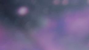 Protestas a favor de la postura del tenista Novak Djokovic en su natal Serbia.