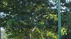 Guatemala alerta de posible nueva caravana migrante procedente de Honduras con destino a México y EE.UU.