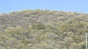 Sicarios atacan con mina terrestre a Ejército en México; reportan cuatro heridos