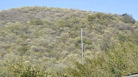 Sicarios atacan con mina terrestre a Ejército en México; reportan cuatro heridos