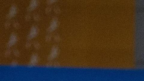 Dominicana sigue invicta en la Serie del Caribe 2022.