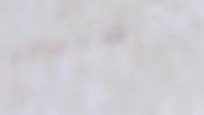 Angelique Boyer | Mezcalent.