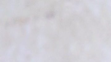 Angelique Boyer | Mezcalent.