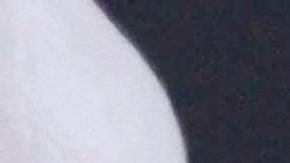 Pepe Aguilar | Mezcalent.