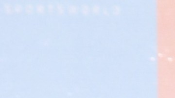 Alex Speitzer | Mezcalent.