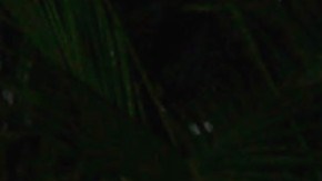 Andrés García | Mezcalent.