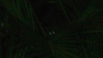 Andrés García | Mezcalent.